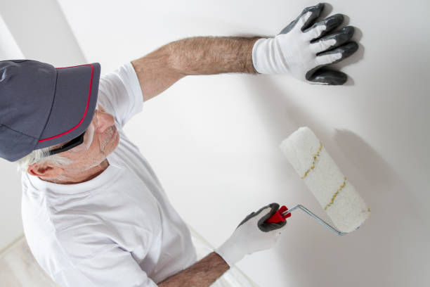 Best Mold Prevention Services  in Rocky River, OH
