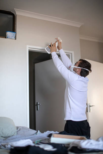 Best Environmental Consulting for Mold Prevention  in Rocky River, OH