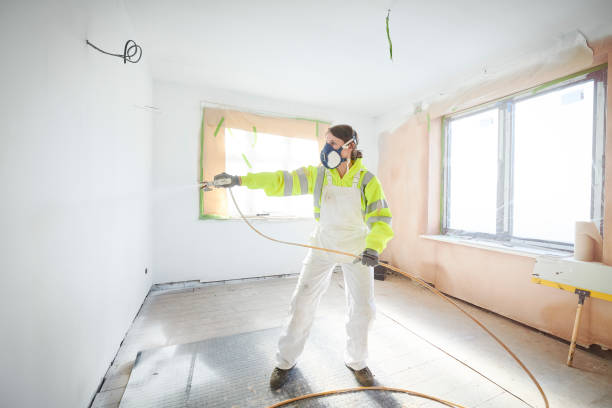 Best Basement Mold Removal  in Rocky River, OH