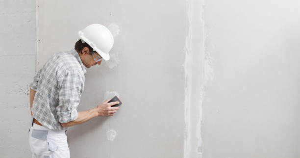 Best Post-Construction Mold Inspection  in Rocky River, OH