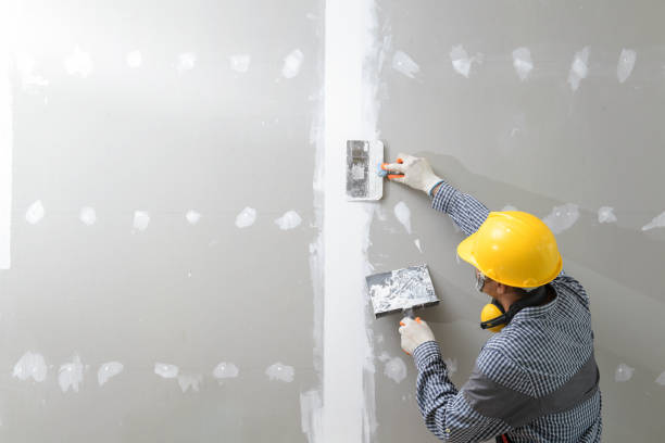 Best Mold Odor Removal Services  in Rocky River, OH