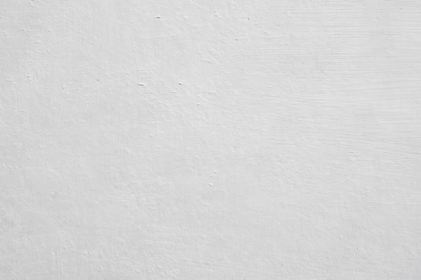 Best Commercial Mold Inspection  in Rocky River, OH