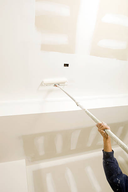 Best Black Mold Removal  in Rocky River, OH