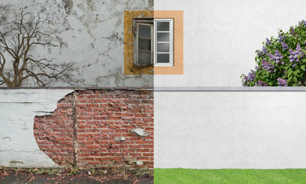 Best Real Estate Mold Inspection  in Rocky River, OH